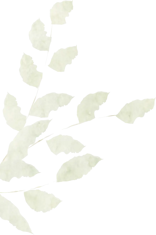 画像：草