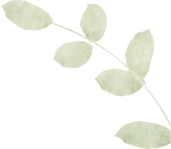 画像：草